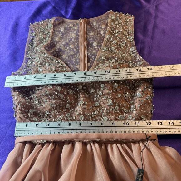 NEW📌 Terani Couture "Spotlight On" Elaborate Beaded Top Blush Prom - Ball Gown - Picture 12 of 16